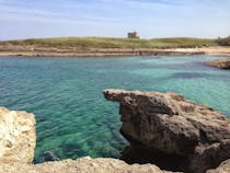 Explore Torre Guaceto Marine Protected Area