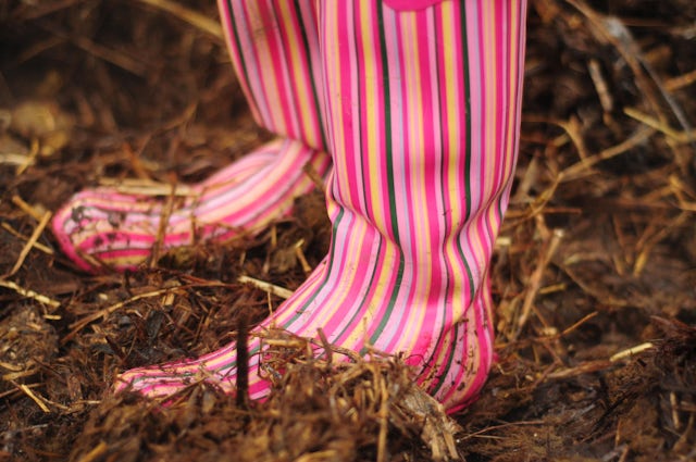 Pink striped wellies