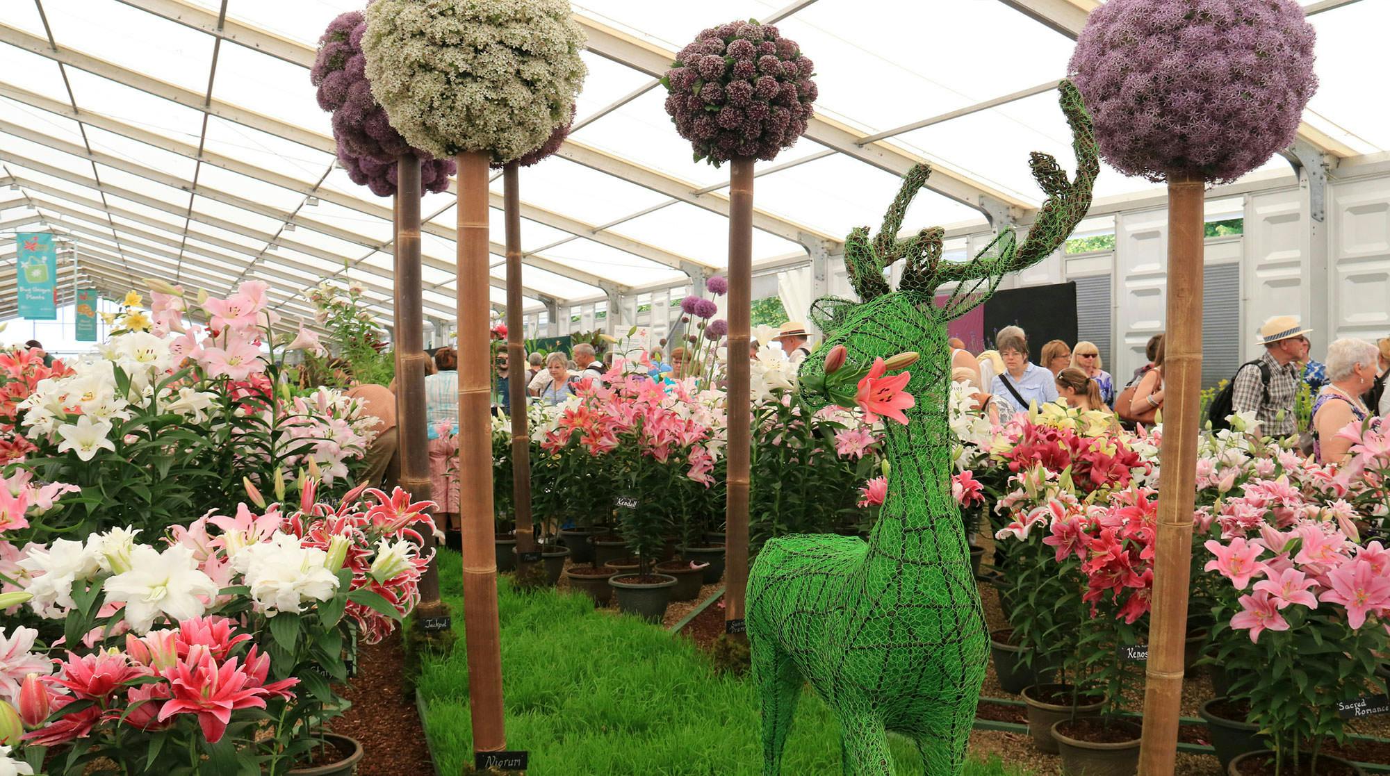 Where To Stay For Hampton Court Palace Flower Show A Curated Guide The Hampton Court Palace Flower Show Gives You Perfect Reason To Go London And