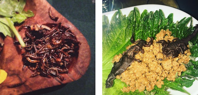Quirky food doesn't get much better than this, insects and scorpions are the top choices on the menu.