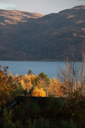 Fireside Dram image 6