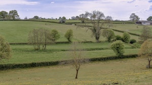 Penny-Farthing image 10