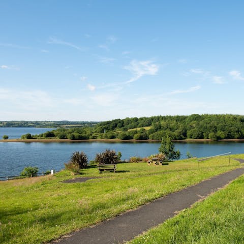 Head down to Roadford Lake for a leisurely stroll by the water