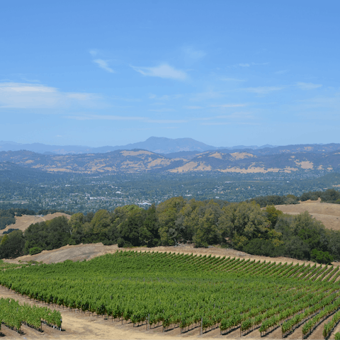 Explore the famous Sonoma County Wine Country that surrounds your home