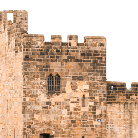 Spend the afternoon visiting the castle in Alnwick, around thirty minutes away by car