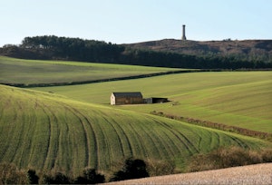 The Master of Dorset image 10
