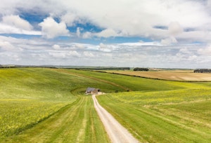 The Master of Dorset image 6