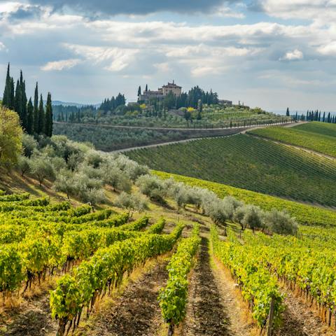 Visit Radda in Chianti, a twenty-minute drive way