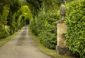 The Fairytale House image 8