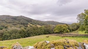 Mountain Mystique image 11