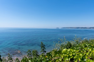 I Wake Up With the Ocean image 7