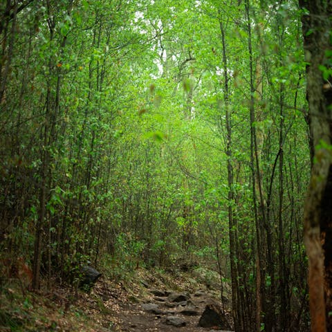 Set off on bush walks from the driveway – Bouddi National Park is right on your doorstep