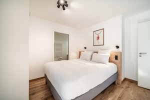 Les Houches Style image 7