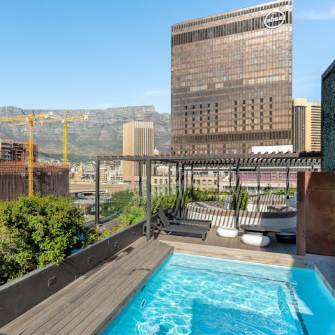 Dive into the communal pool for a swim overlooking Table Mountain