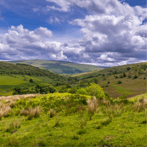 Visit yet another national park – the Yorkshire Dales – just under fifty miles from home