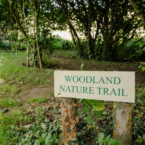 Enjoy woodland walks through the property's 20 acres of private grounds 