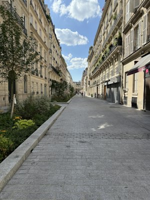 Elegant Paris Home image 8