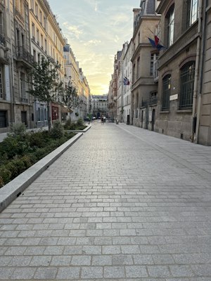 Elegant Paris Home image 2