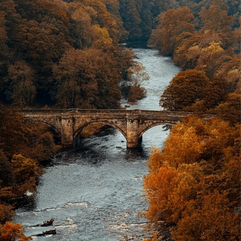 Drive to nearby Richmond, boasting a castle and a cobbled market place