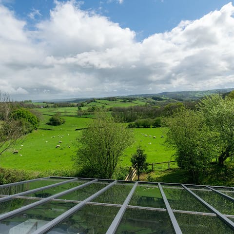 Take in the views over the Usk Valley
