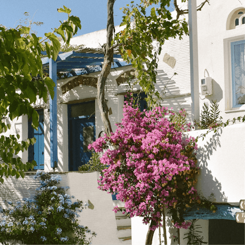 Experience the magic of Cycladic living from the heart of Tinos