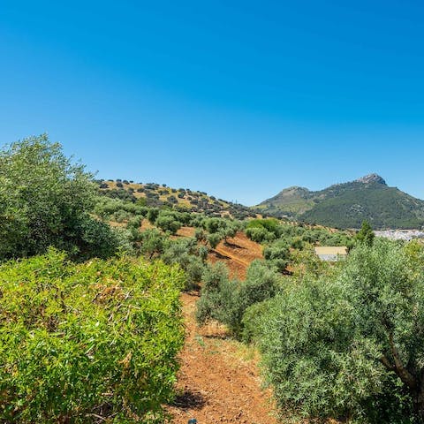 Go out and explore your beautiful surroundings – El Gastor is 2.8 kilometres away