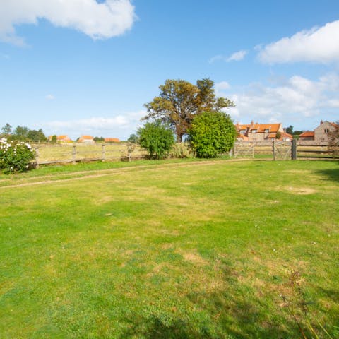 Set up a picnic or afternoon tea on the expansive lawn for lunch