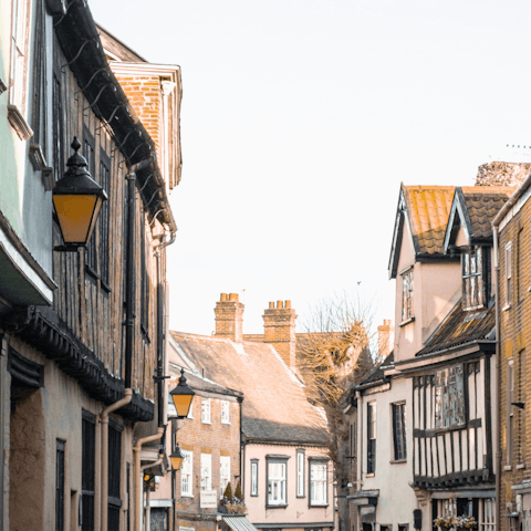 Spend the day in medieval Norwich, just under thirty miles from home