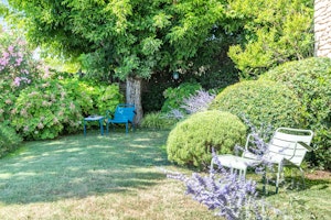 Windmill View image 12