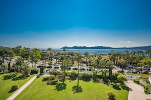 Ivory Promenade image 9