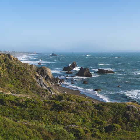 Explore Sonoma County's beautiful 55-mile stretch of Pacific coastline, centred around Bodega Bay