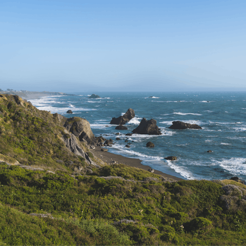 Explore Sonoma County's beautiful 55-mile stretch of Pacific coastline, centred around Bodega Bay