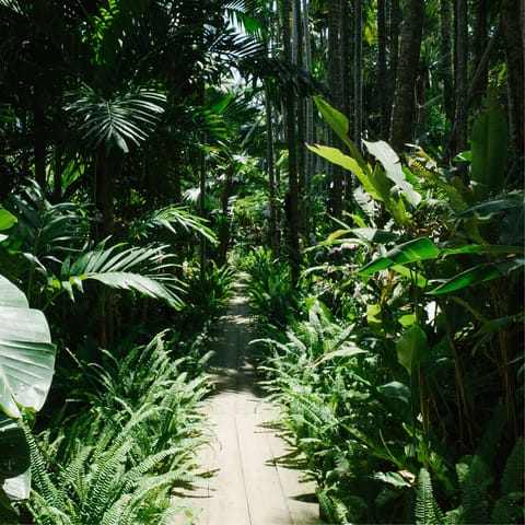 Discover the La Concepción Historic Botanical Gardens