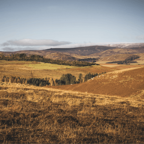 Lace up your hiking boots and explore the Cheviot Hills, an hour's drive away