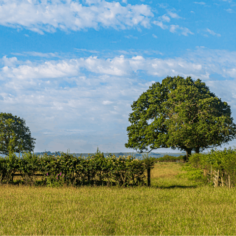 Find yourself surrounded by verdant scenery