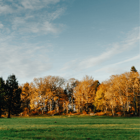Discover the beauty of the Brecon Beacon National Park, reachable on foot from Abergavenny
