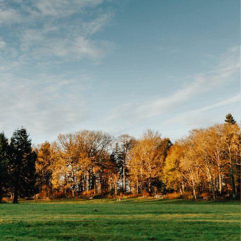 Discover the beauty of the Brecon Beacon National Park, reachable on foot from Abergavenny 