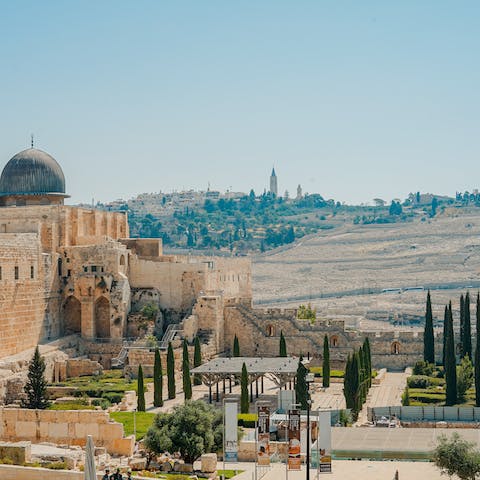 Visit the mesmerising Western Wall, a reasonable bus ride