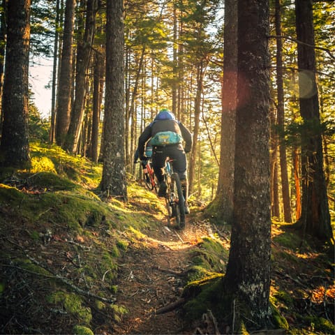  Cycle the picturesque trails in the Auvergne-Rhône-Alpes region
