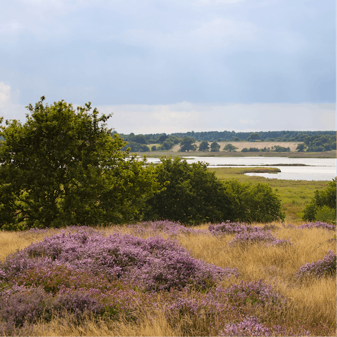 Head out on a long ramble through Suffolk's countryside – there are a number of trails on your doorstep 
