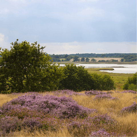 Head out on a long ramble through Suffolk's countryside – there are a number of trails on your doorstep