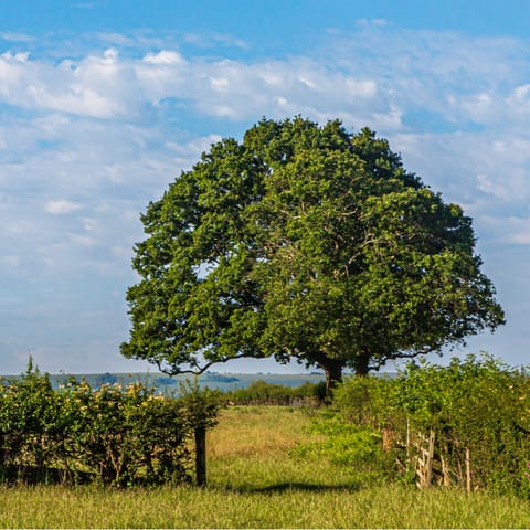 Find several hiking trails only minutes away from your home