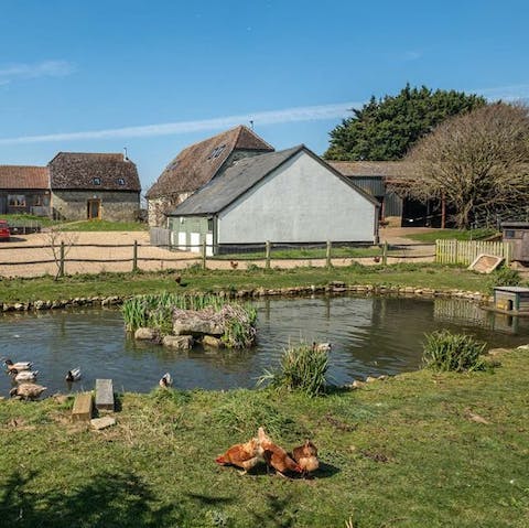 Pop to the farm shop for some fresh eggs to rustle up breakfast