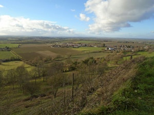 Summertime in Somerset image 15
