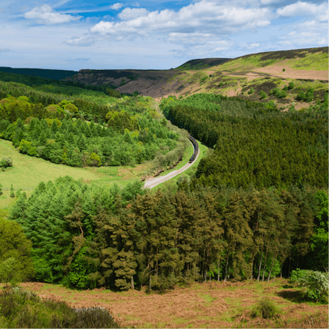 Visit the North York Moors National Park – it's right on your doorstep