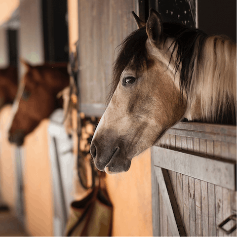 Go horse riding – there's an equestrian centre nine minutes in the car