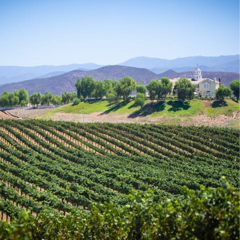 Explore Paso Robles wine country