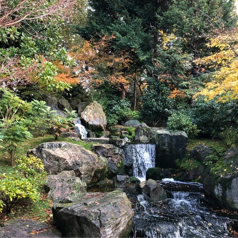 Wander around the tranquil Kyoto Garden, ten minutes or so on foot from the front door