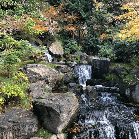 Make the twenty-minute walk north to Holland Park and look around the Japanese garden