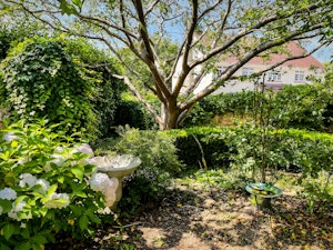 Breezy Cottage image 4